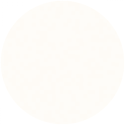 NCS S 0502-Y - Standard Vit